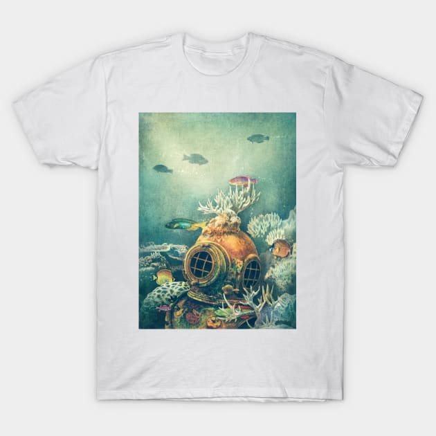 Seachange T-Shirt by Terry Fan